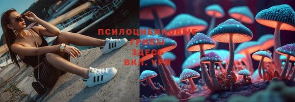 прущая мука Краснослободск